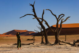 Namibia_April_2025 (73/79)